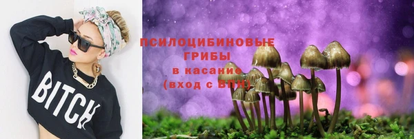 кокс Алексин