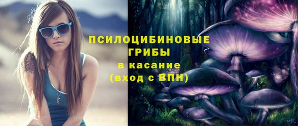 круглые Алзамай