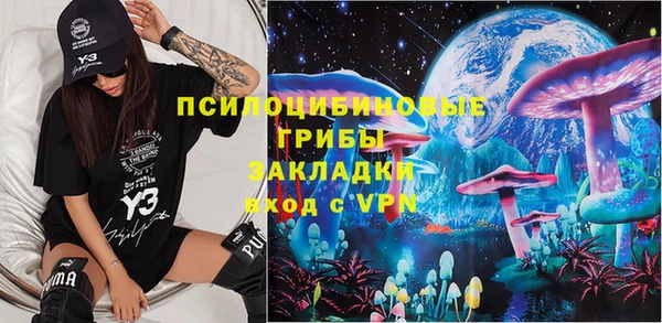 кокс Алексин